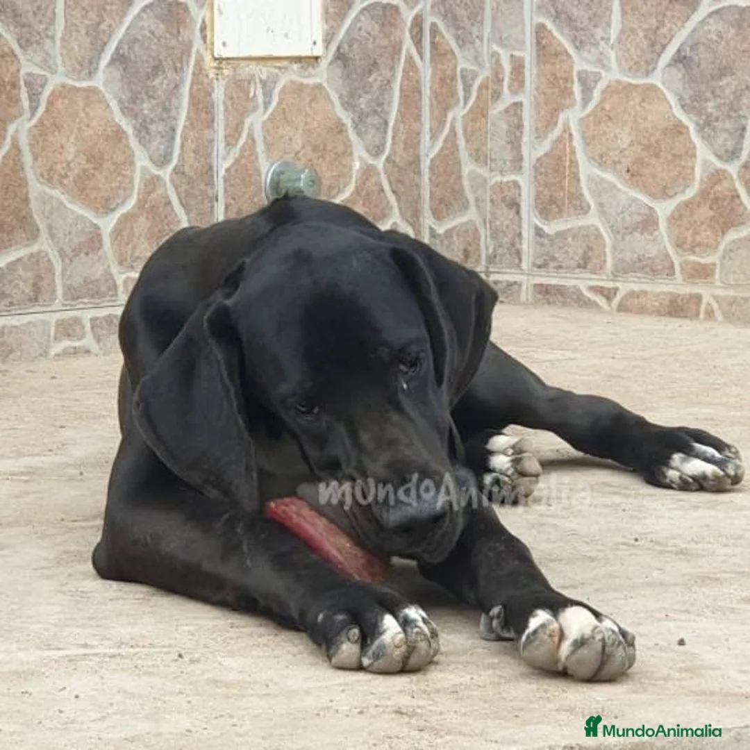 Imagen de galería {{count}}