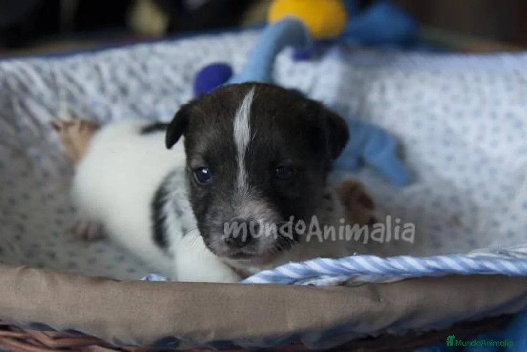 Imagen de galería {{count}}