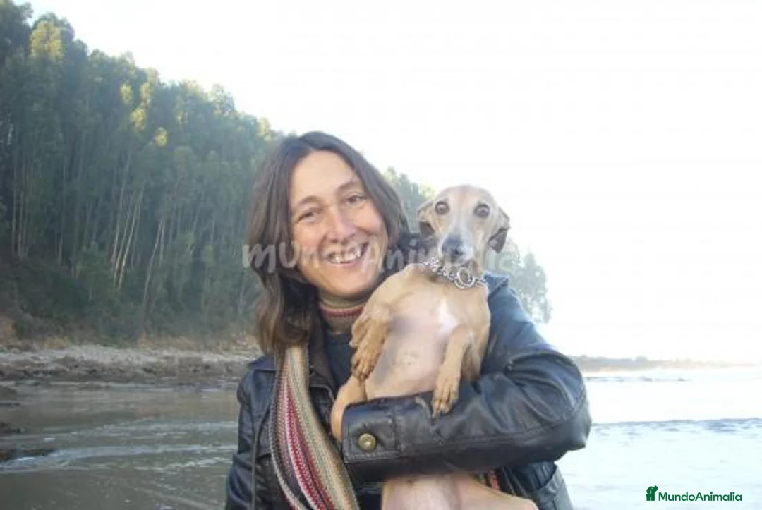 Imagen de galería {{count}}