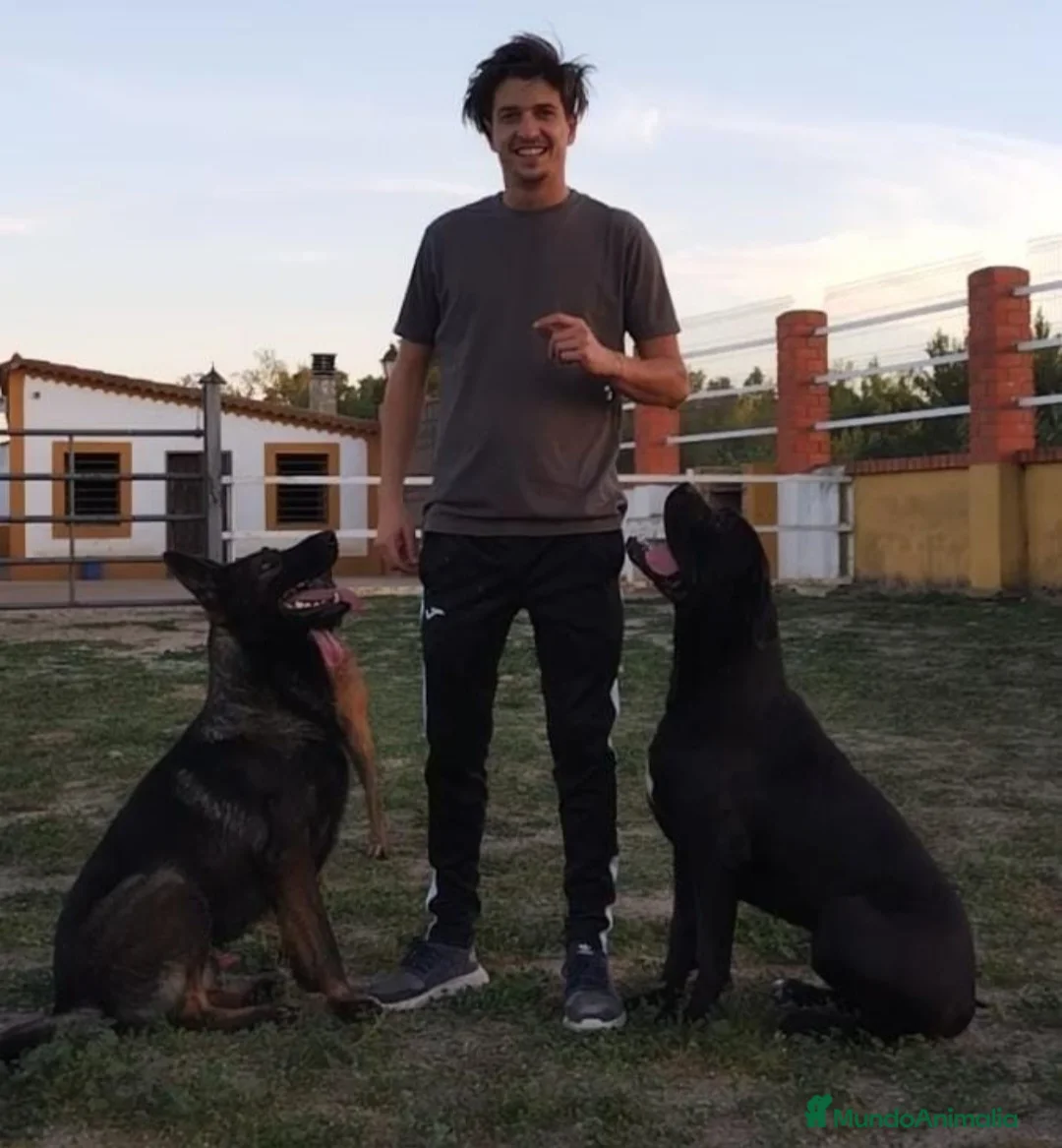 Imagen de galería {{count}}