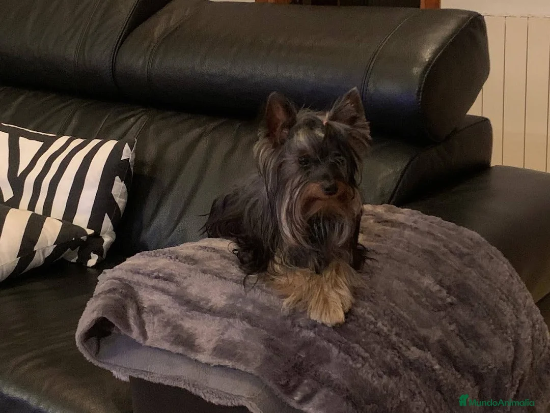 Imagen de galería {{count}}