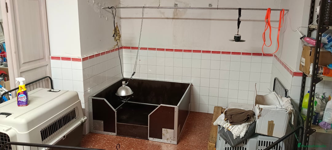 Imagen de galería {{count}}