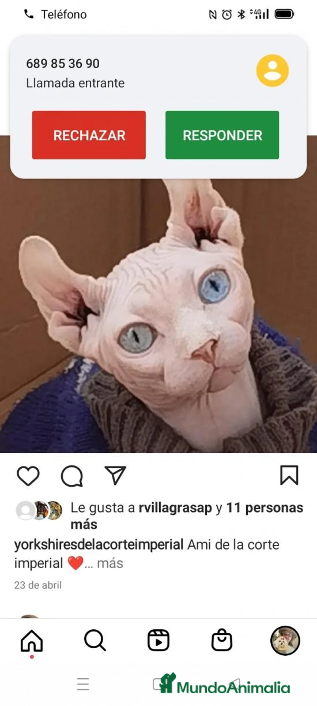 Imagen de galería {{count}}