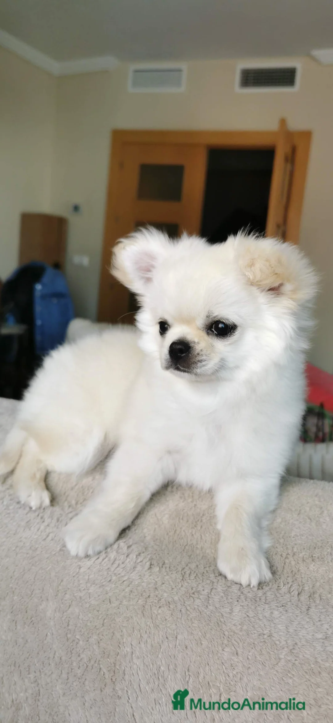 Imagen de galería {{count}}