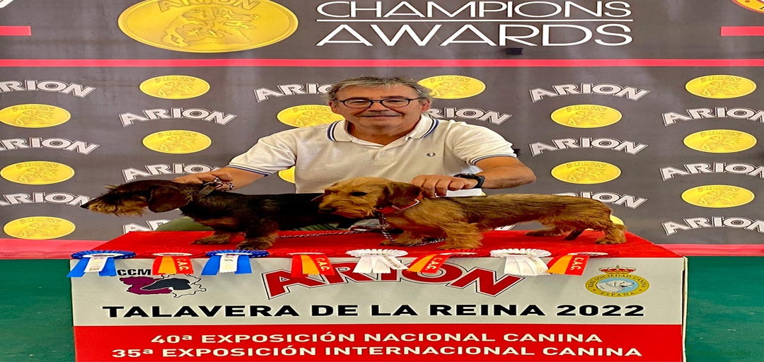 Imagen de galería {{count}}