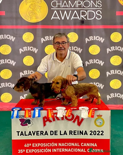 Imagen de galería {{count}}