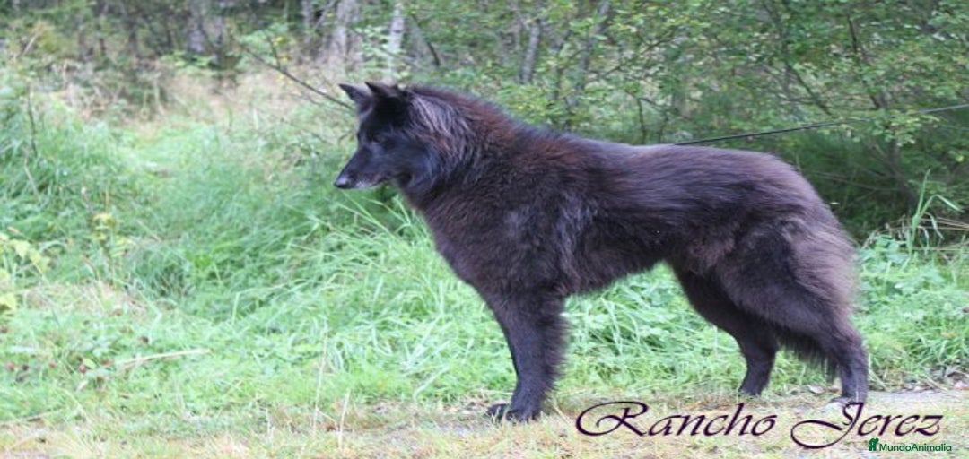 Imagen de galería {{count}}