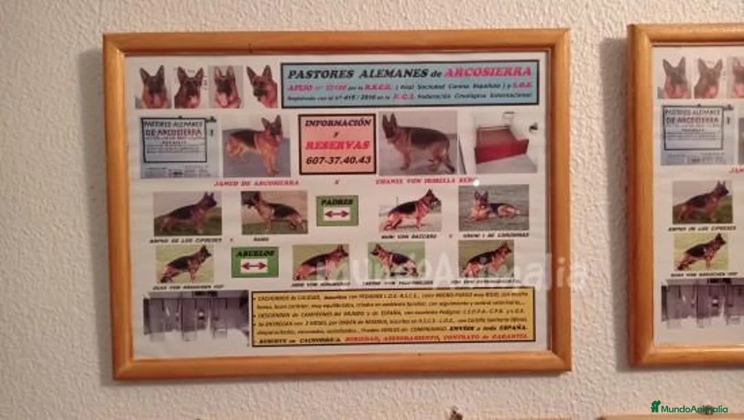 Imagen de galería {{count}}