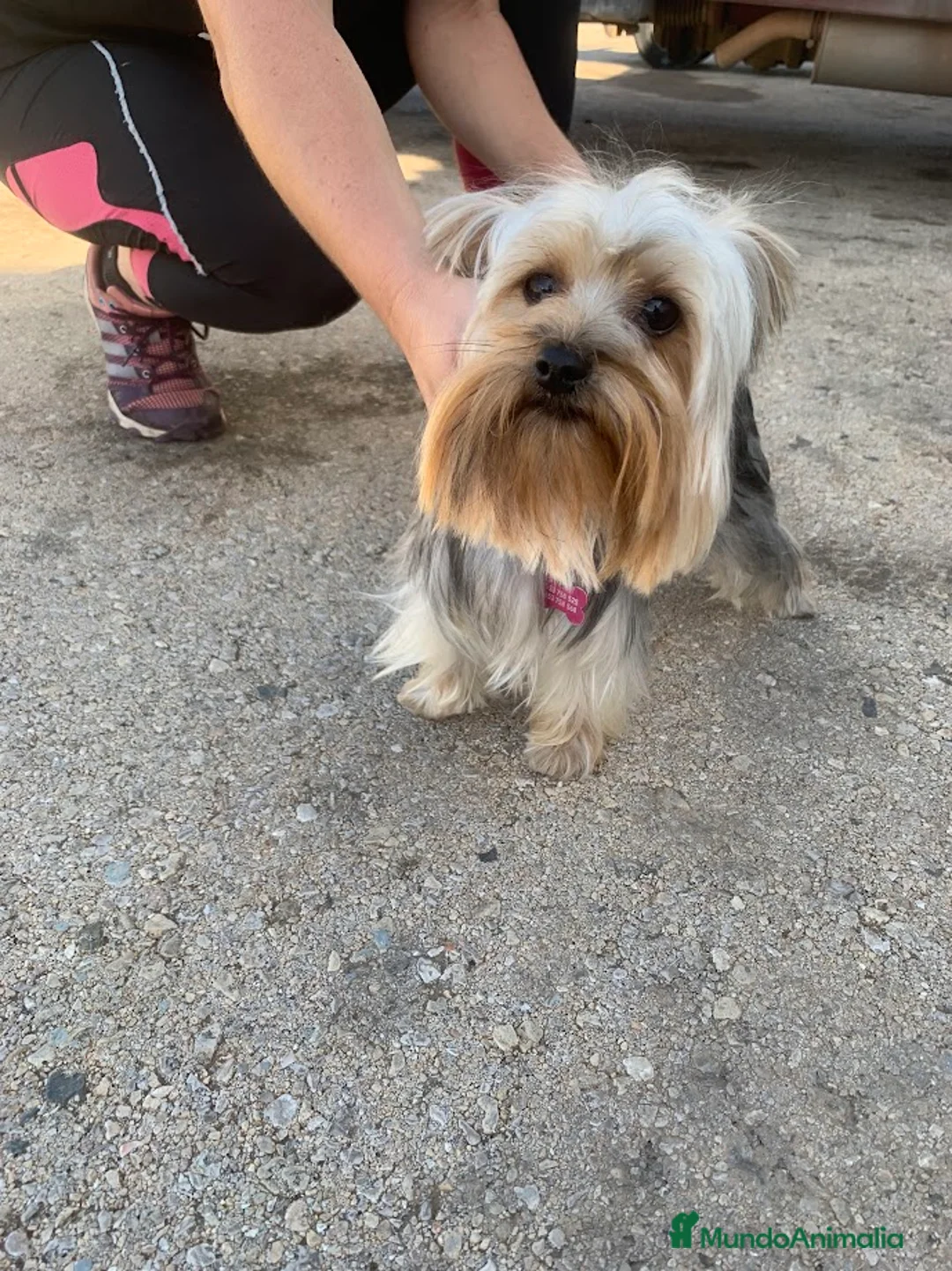 Imagen de galería {{count}}