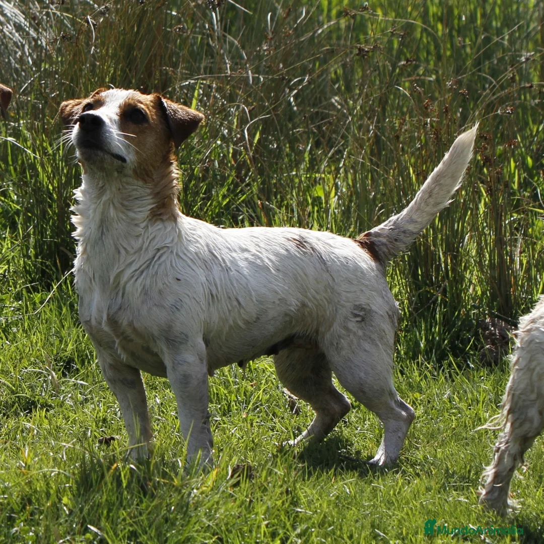 Imagen de galería {{count}}