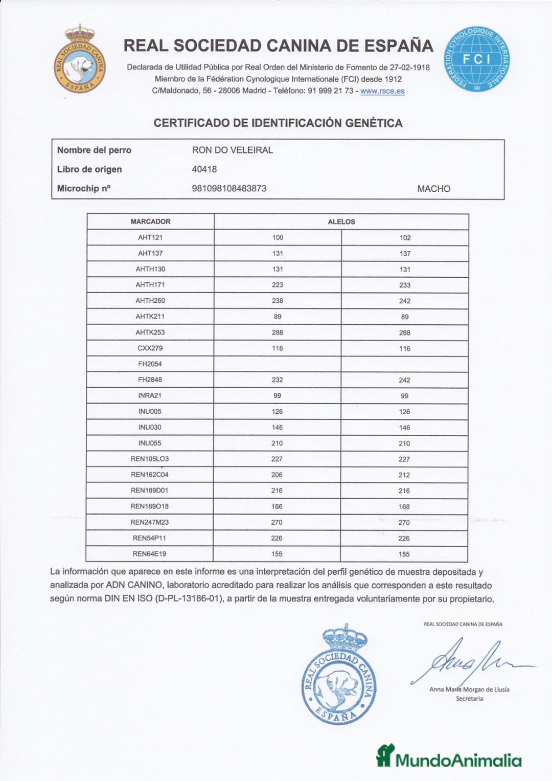 Pastor Alemán perros en venta: CACHORROS PASTOR ALEMÁN  - Anuncio 10