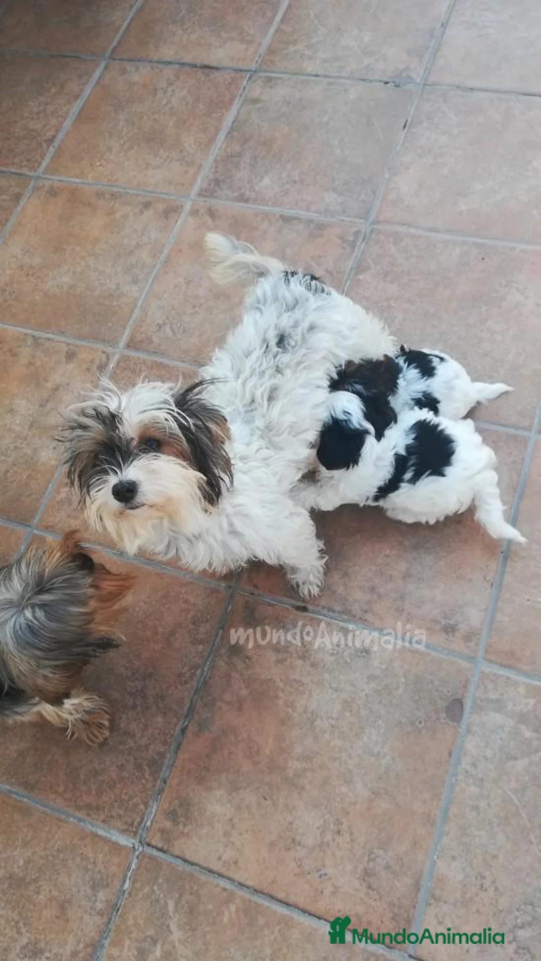 Imagen de galería {{count}}