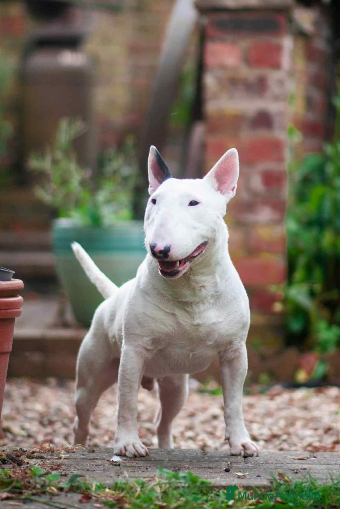 Imagen de galería {{count}}