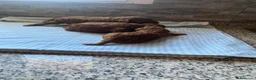 Caniche Toy perros en venta: Machos de caniche toy  - Anuncio 5
