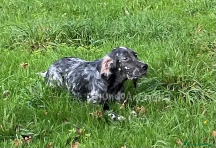 Imagen de galería {{count}}