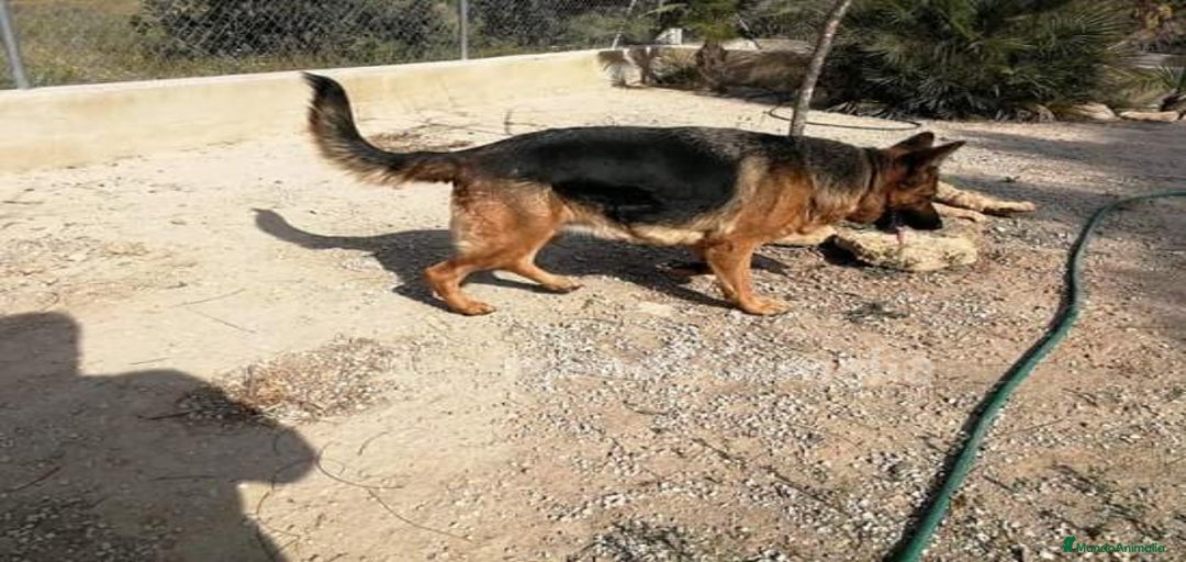 Imagen de galería {{count}}