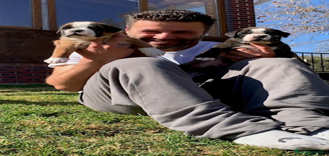 Imagen de galería {{count}}