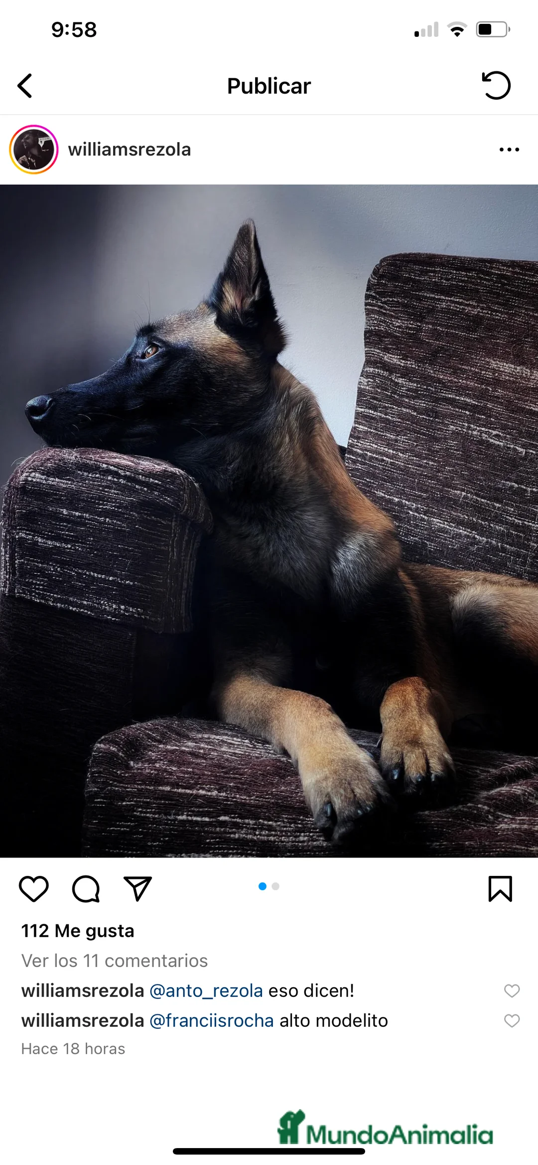 Imagen de galería {{count}}