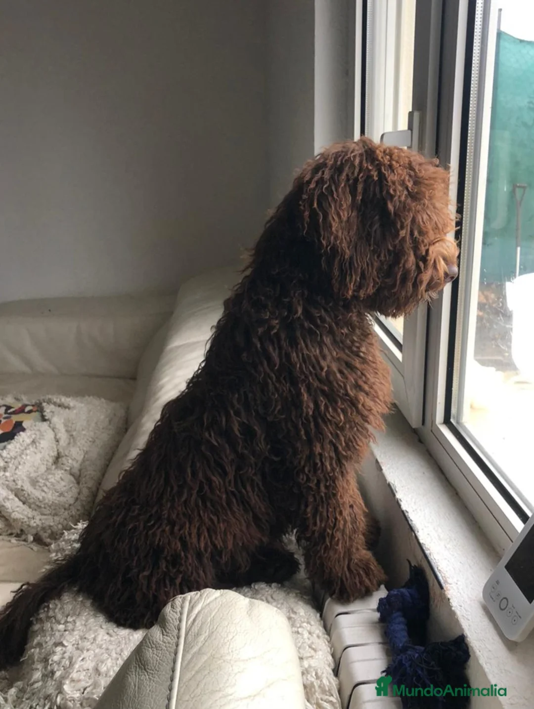 Imagen de galería {{count}}