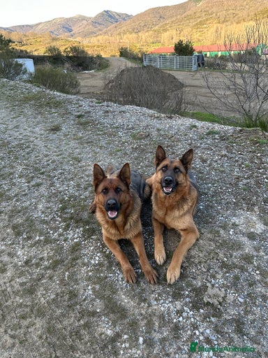 Imagen de galería {{count}}