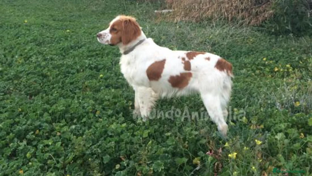 Imagen de galería {{count}}