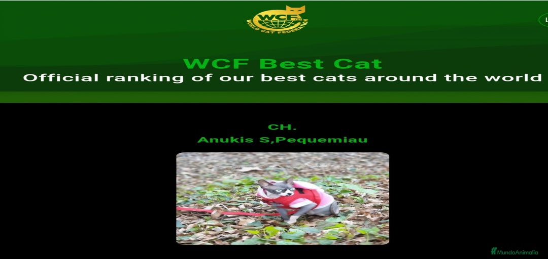 Imagen de galería {{count}}