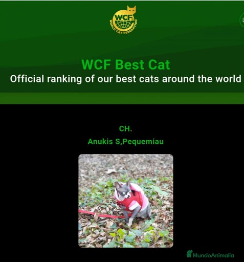 Imagen de galería {{count}}