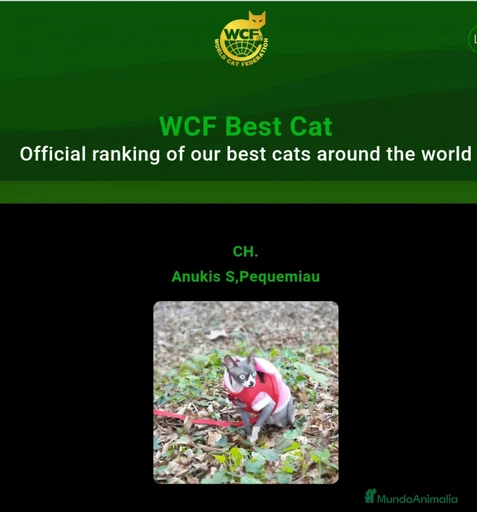 Imagen de galería {{count}}