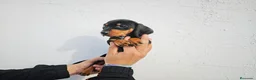 Teckel Miniatura perros en venta: Teckel  miniatura - Anuncio 6