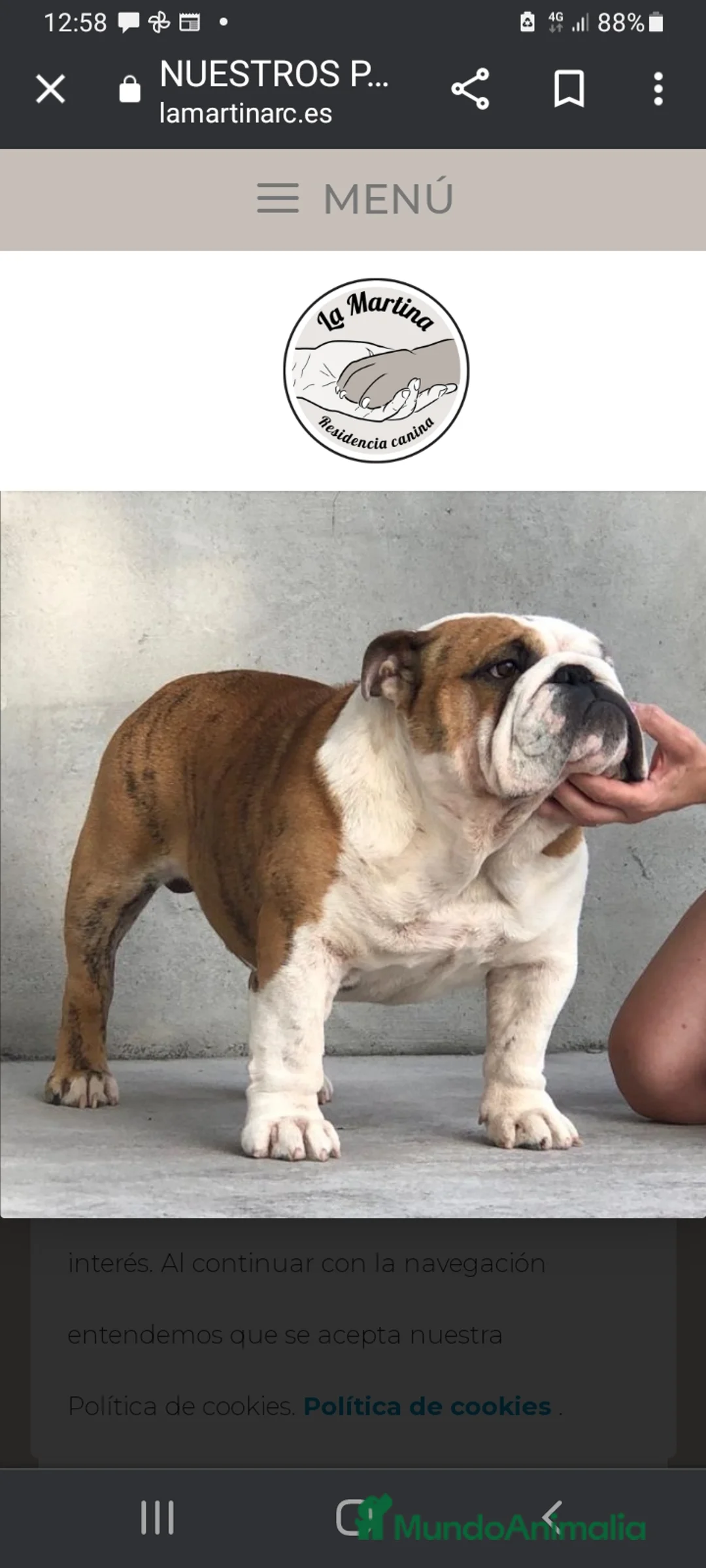 Imagen de galería {{count}}