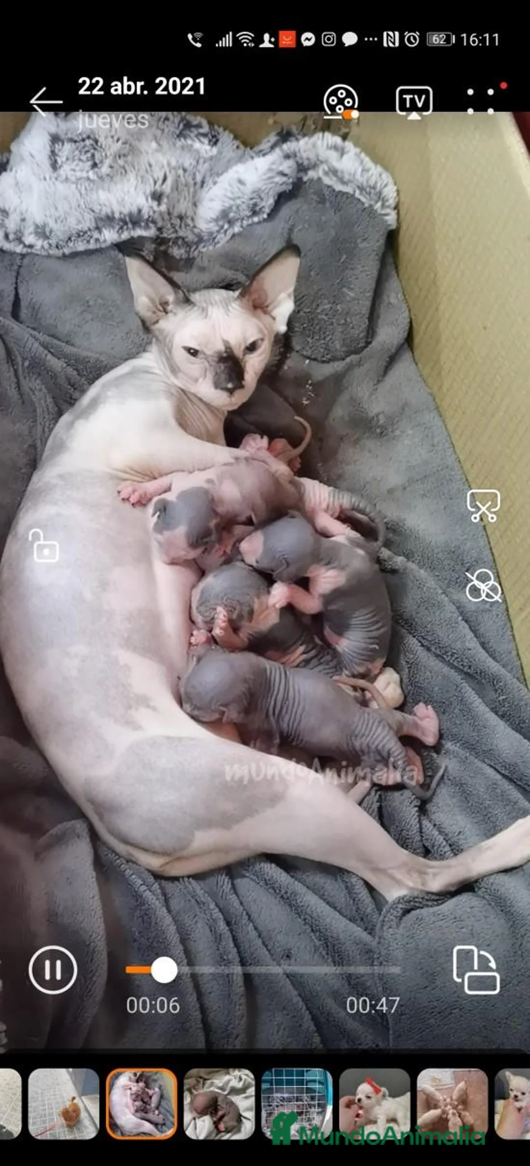 Imagen de galería {{count}}