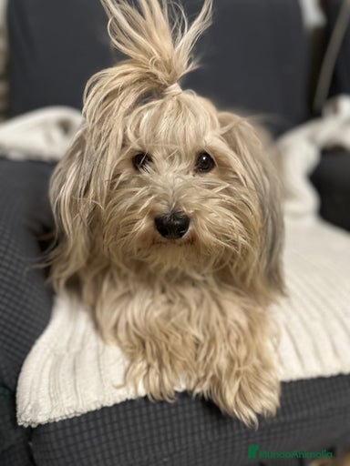 Imagen de galería {{count}}