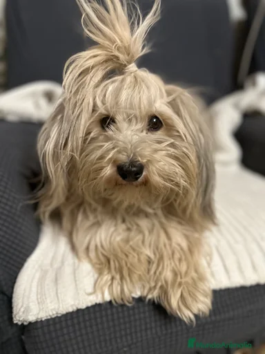 Imagen de galería {{count}}