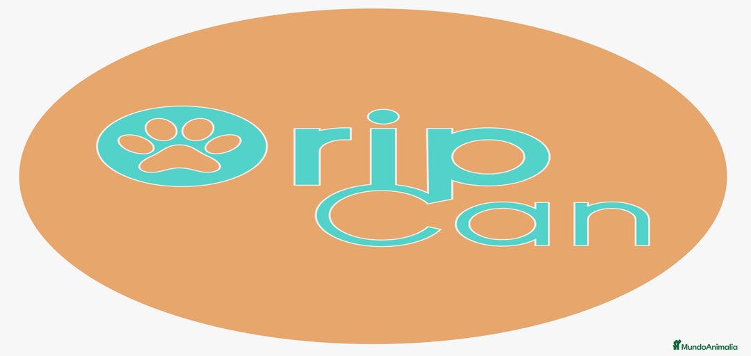 Imagen de galería {{count}}