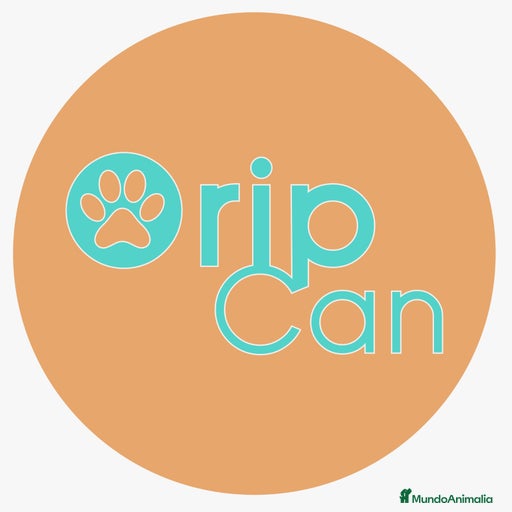 Imagen de galería {{count}}