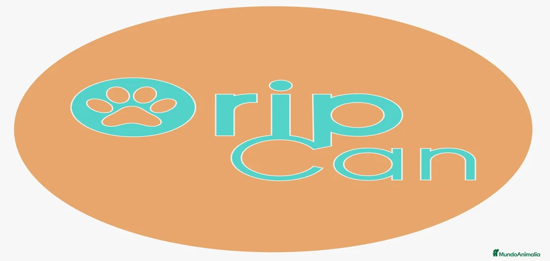 Imagen de galería {{count}}