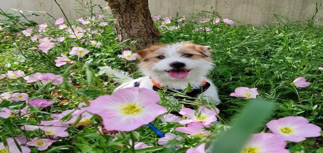 Imagen de galería {{count}}