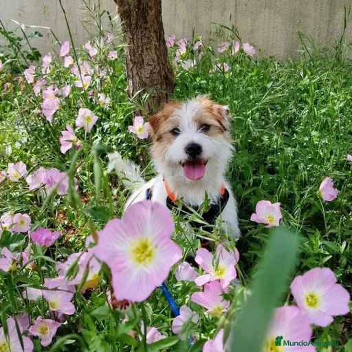 Imagen de galería {{count}}