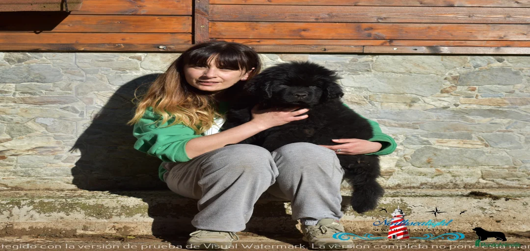 Imagen de galería {{count}}