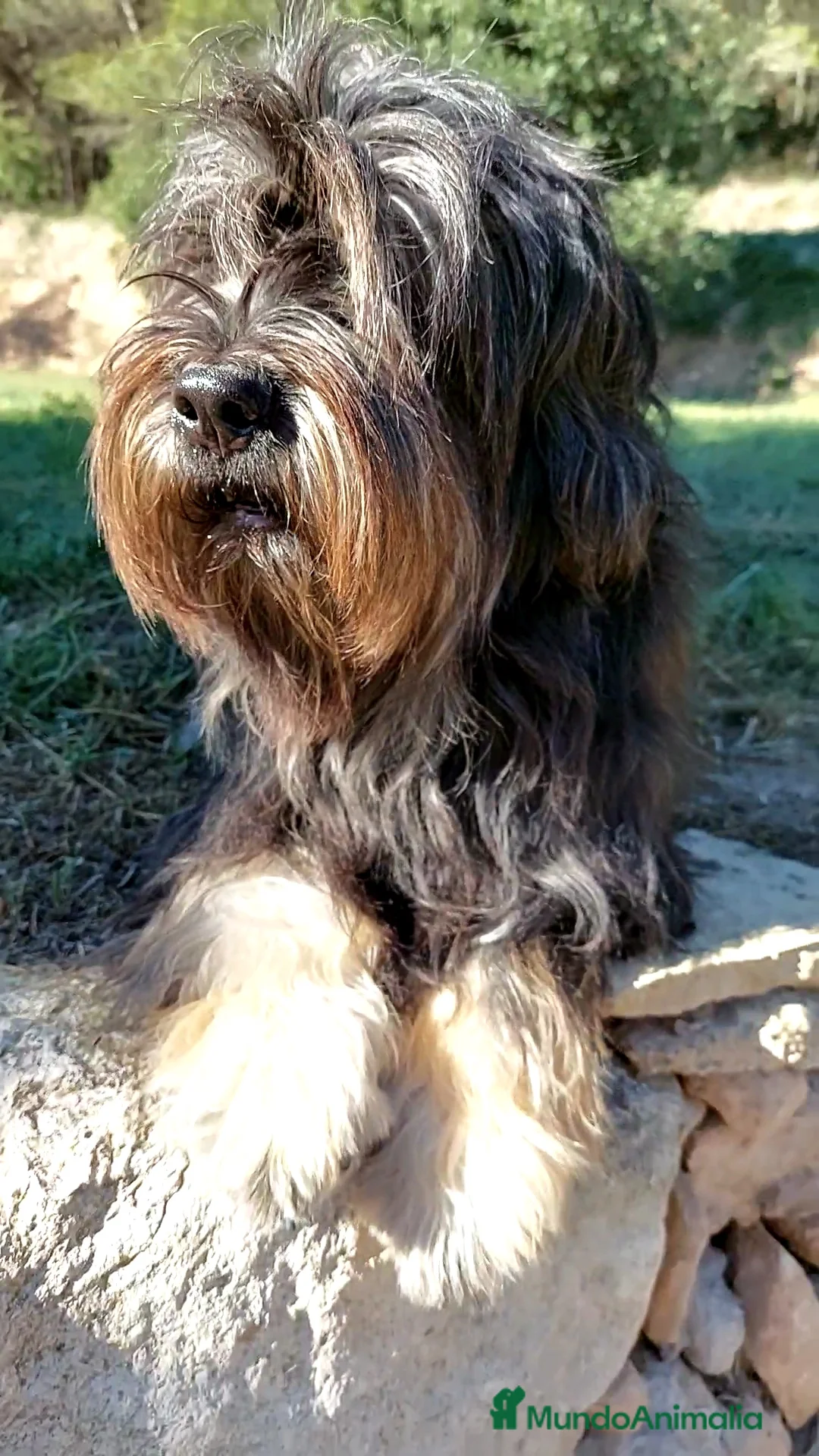 Imagen de galería {{count}}