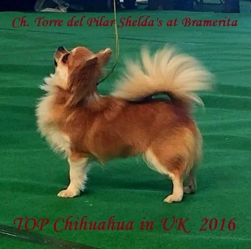 Imagen de galería {{count}}