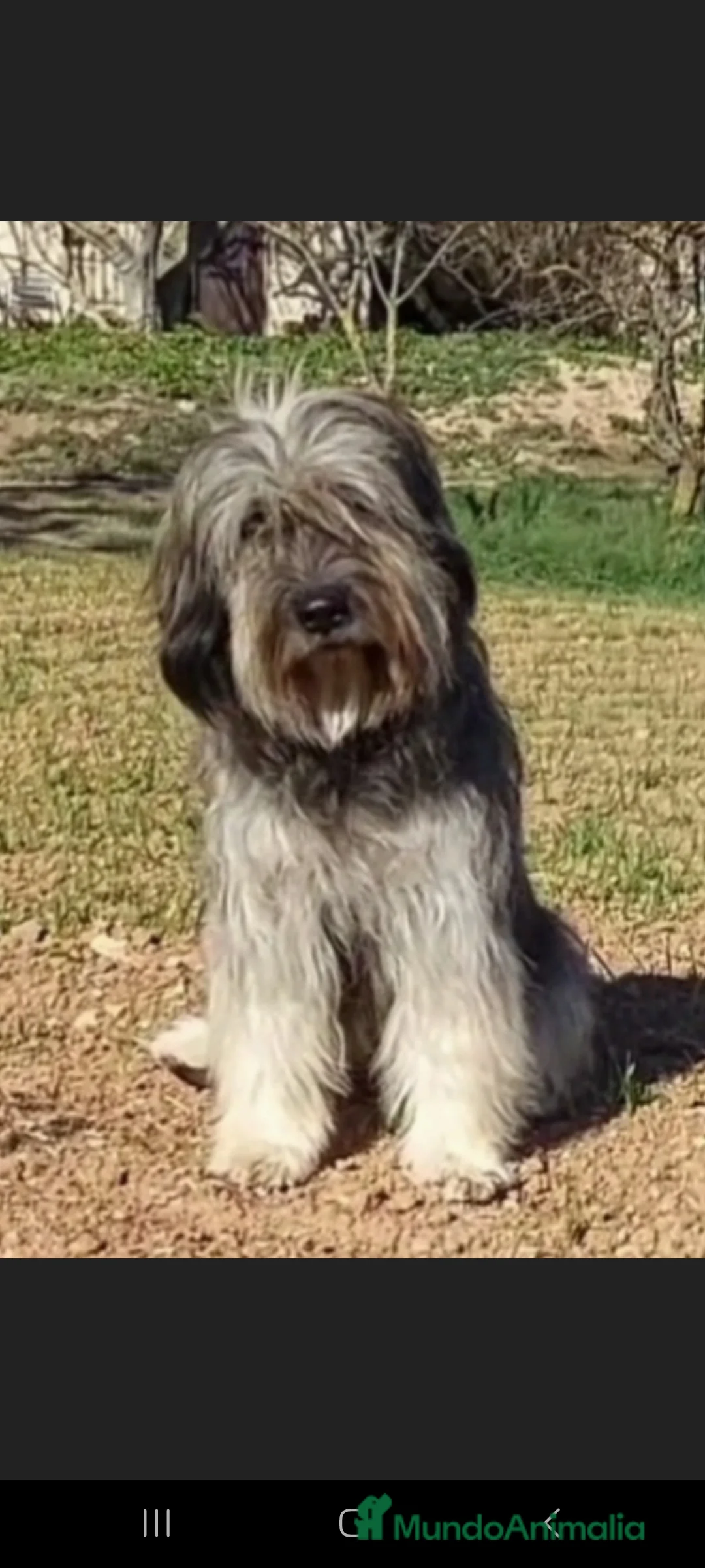 Imagen de galería {{count}}