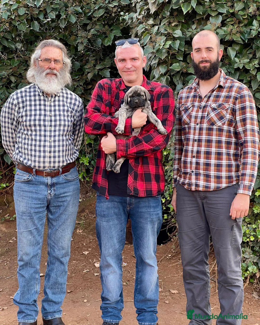 Imagen de galería {{count}}