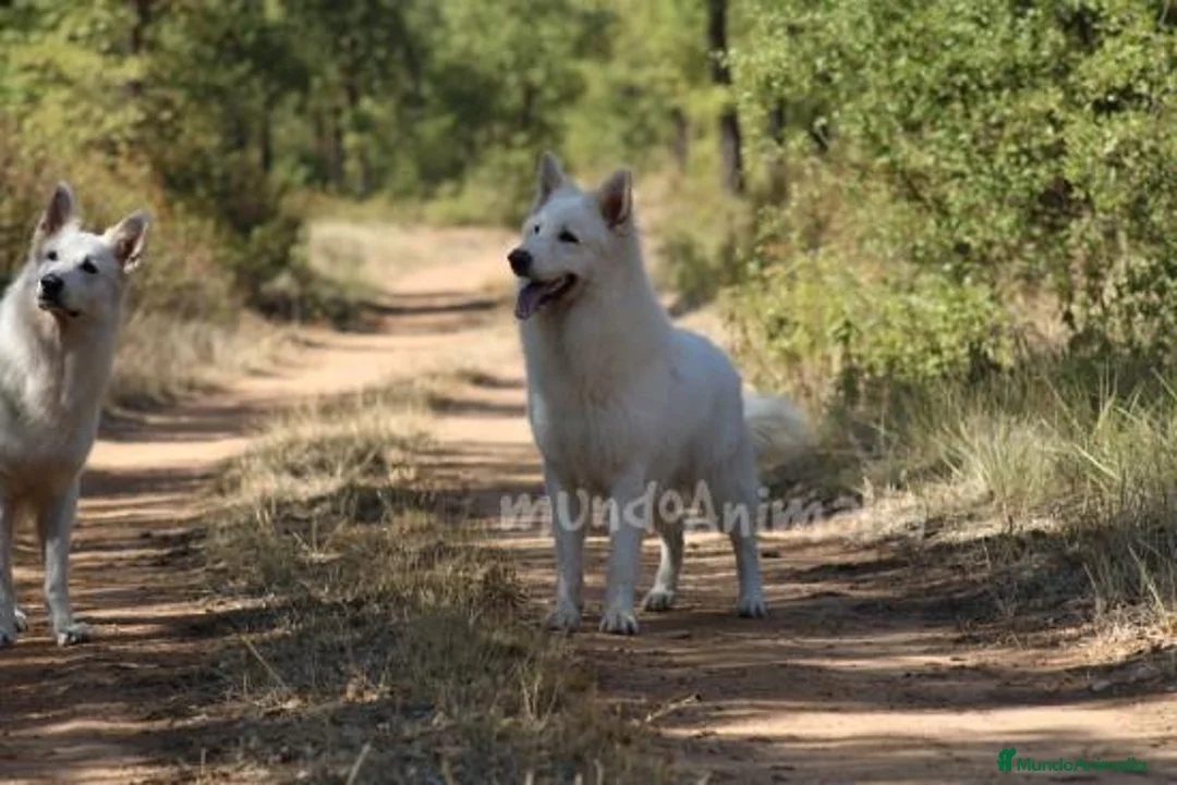 Imagen de galería {{count}}