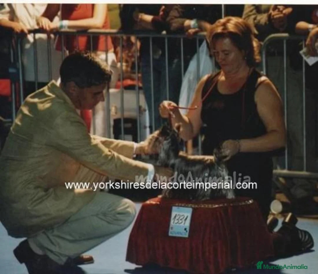 Imagen de galería {{count}}