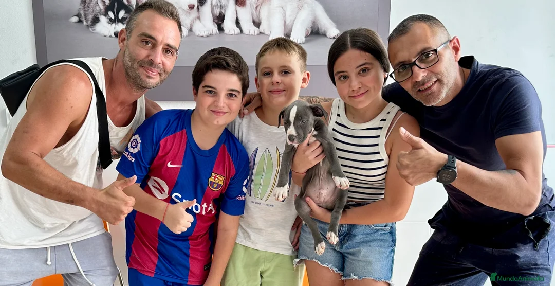 Imagen de galería {{count}}