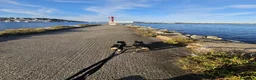 Bulldog Francés perros en adopcion: Bulldog Francés exóticas en adopción en La Coruña - Anuncio 12
