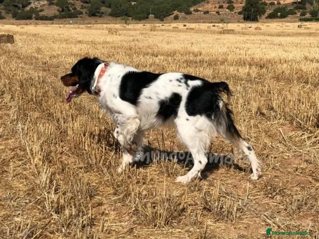 Imagen de galería {{count}}