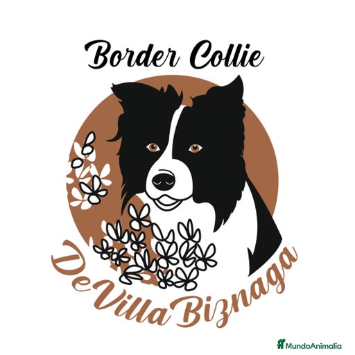 Imagen de galería {{count}}