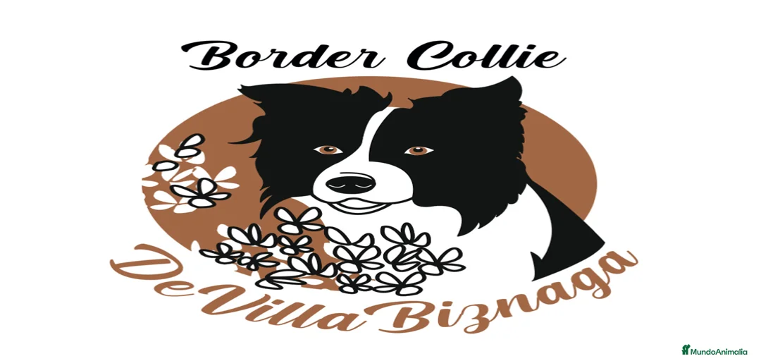 Imagen de galería {{count}}